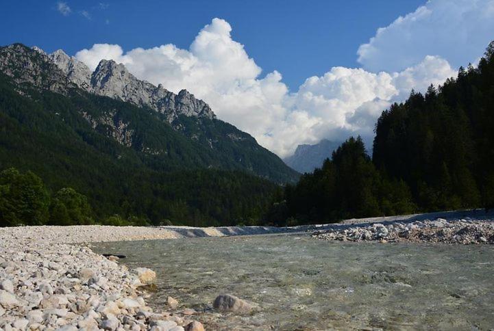 Rooms Barovc By The Lake Jasna Краньска Гора Экстерьер фото The river in the park